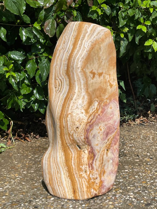 Ägäis-Gelb-ÄG2301-51cm-28kg-(1)