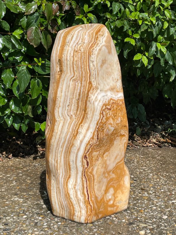 Ägäis-Gelb-ÄG2301-51cm-28kg-(2)