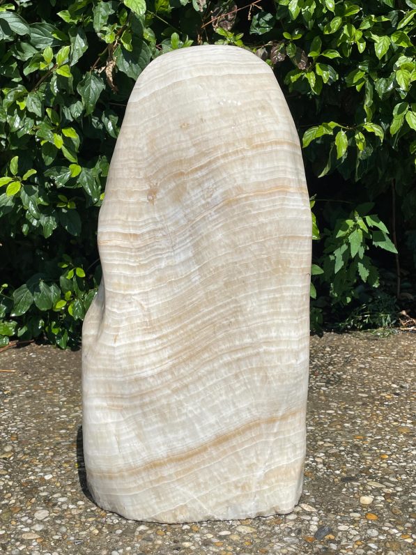 Onyx-Caramel-OC2302-55cm-56kg-(1)