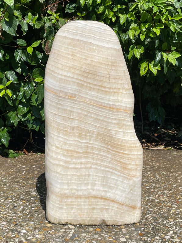 Onyx-Caramel-OC2302-55cm-56kg-(2)