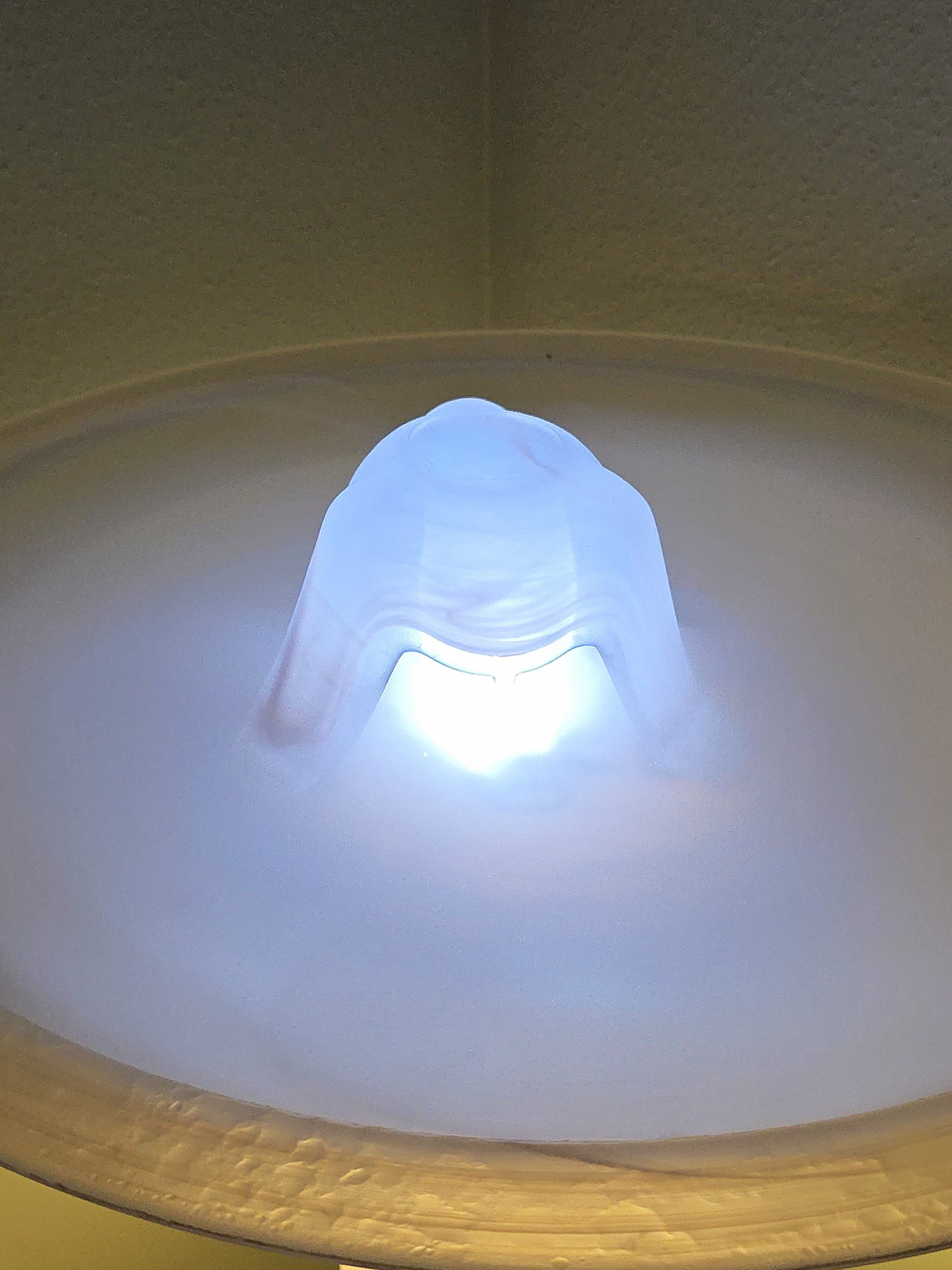 Orient_mit_Weisslichtnebler_1