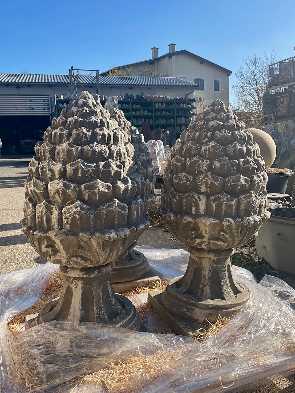 Pigna_Grande_Corrosa_70cm_1