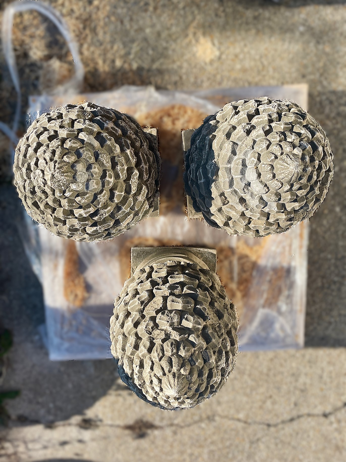 Pigna_Grande_Corrosa_70cm_3