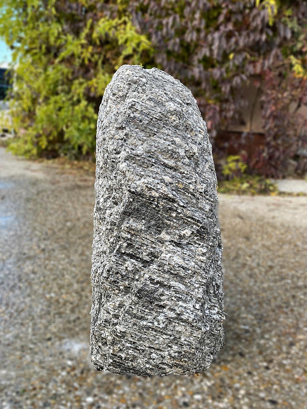 Zebra-Gneis-Qs-Nr.GS-2111-67-cm-1-1