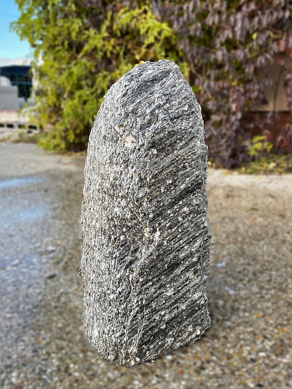 Zebra-Gneis-Qs-Nr.GS-2111-67-cm-2