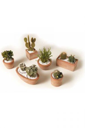 Pflanzengefäßset "Serie Mini Pot America Terracotta" IG